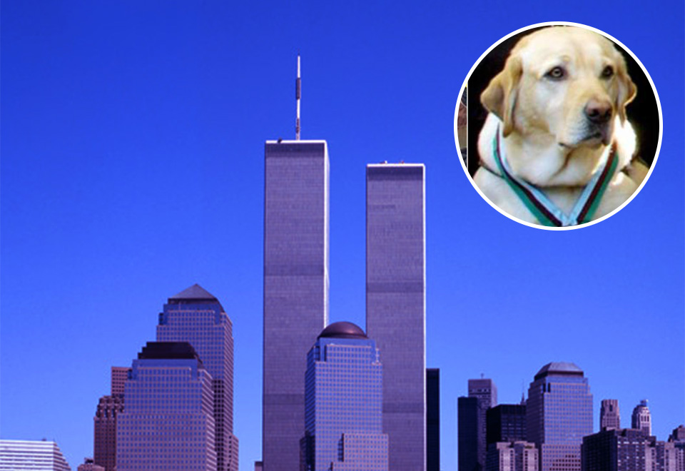 [Video] Las historias de heroísmo en el ataque del 11S en Estados Unidos