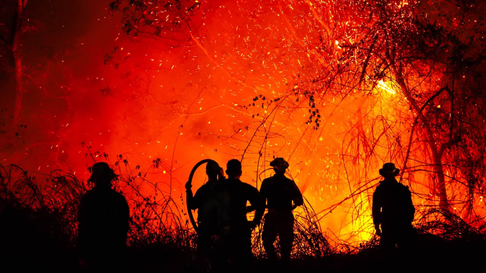 Tolima enfrenta 22 incendios en 14 municipios y concentra su mayor emergencia en Gualanday
