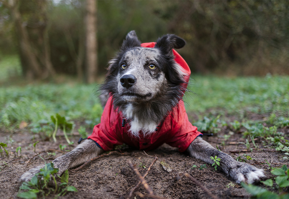 Bello saludo entre amigos