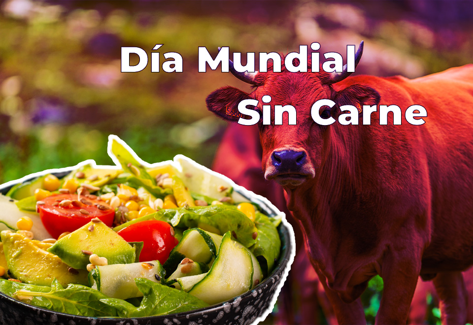 [Video] ¿Qué pasaría si deja de comer carne?