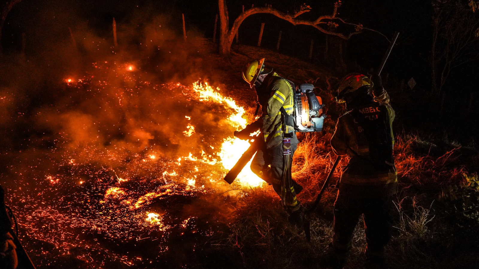 Incendios en Tolima mantienen en alerta a las autoridades