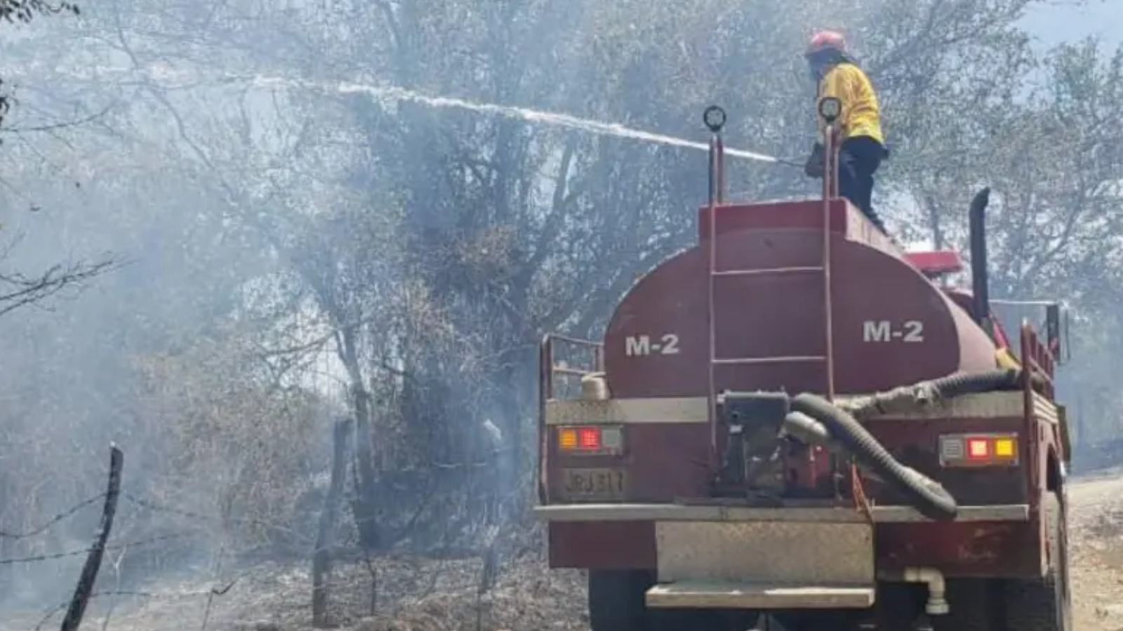Tolima concentra la mayor emergencia por incendios forestales en Colombia