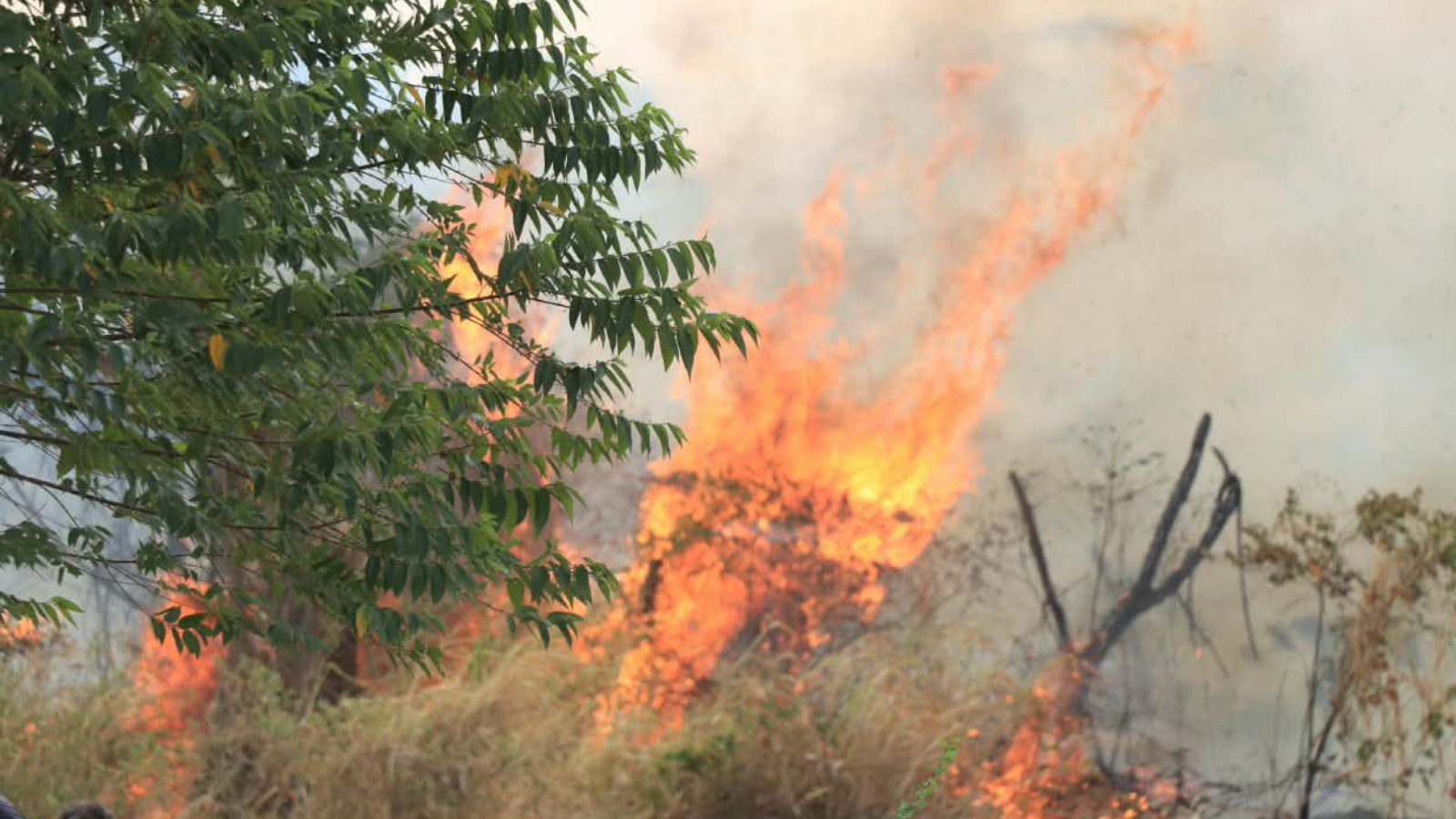Presidente viajará a Ibagué para coordinar respuesta ante incendios en Tolima