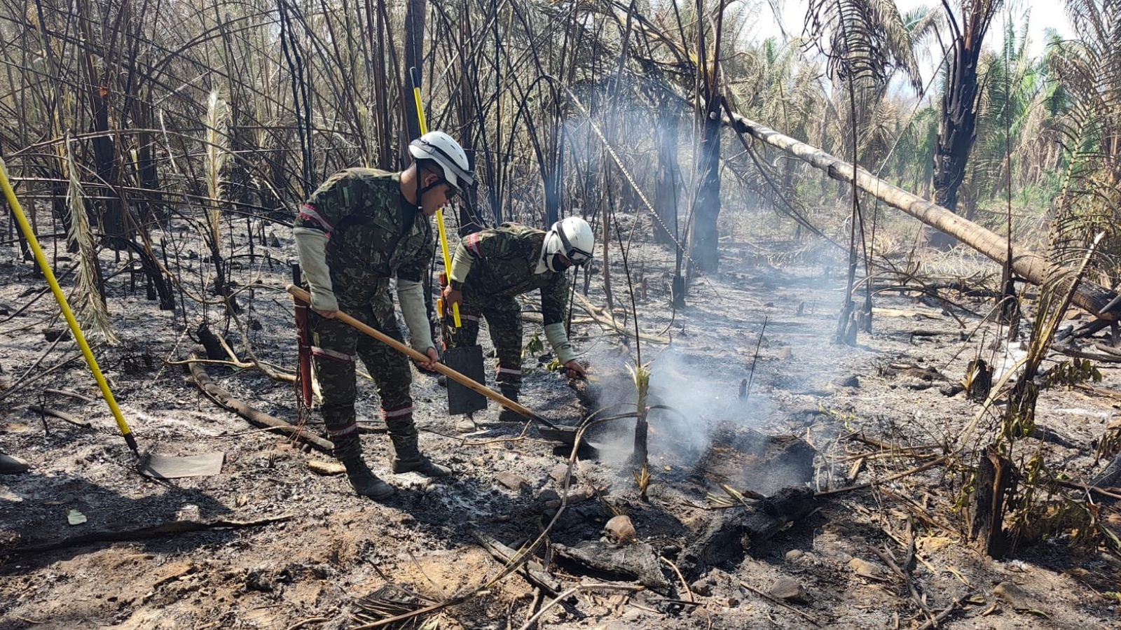 340 municipios en máxima alerta por incendios forestales