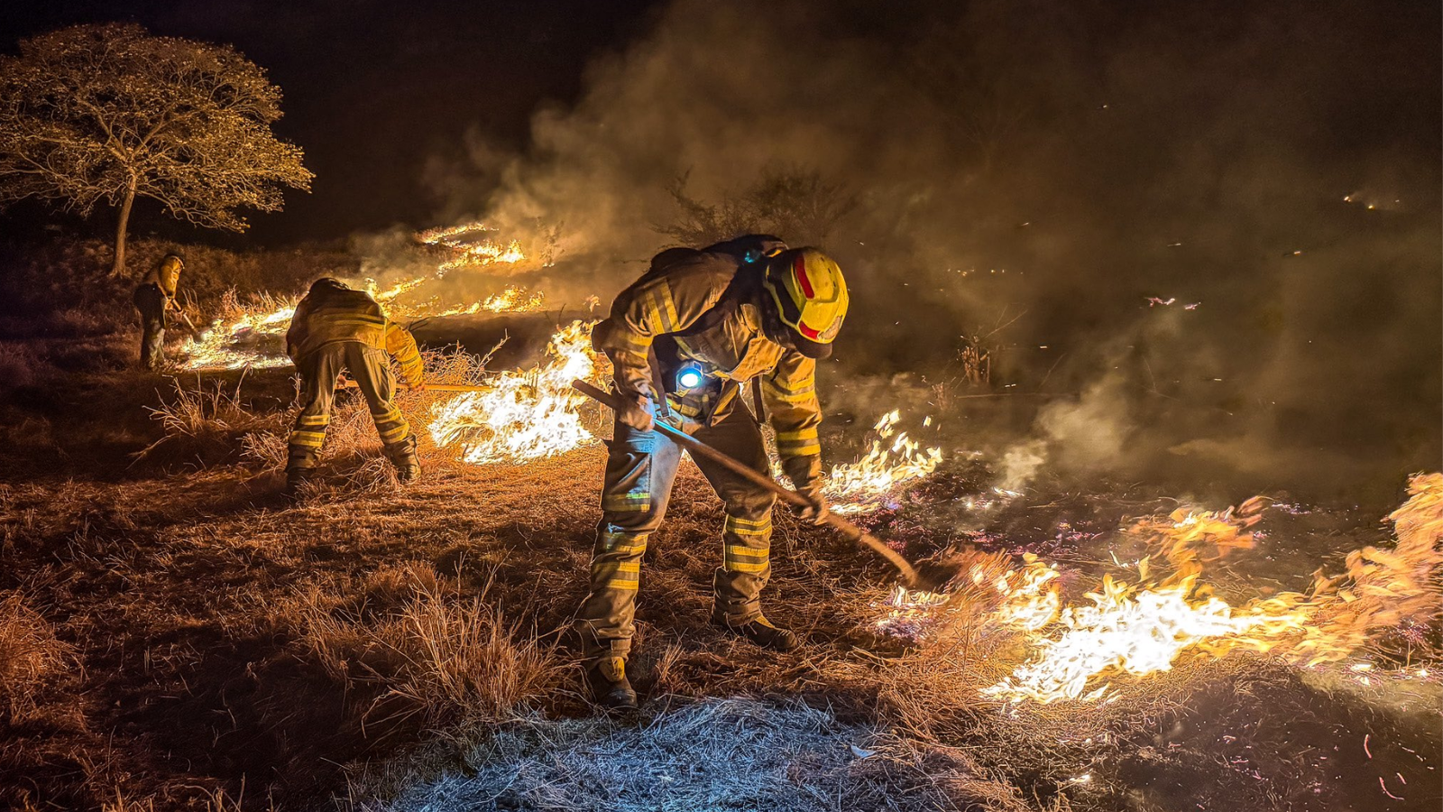 Incendios forestales mantienen en alerta a tres departamentos