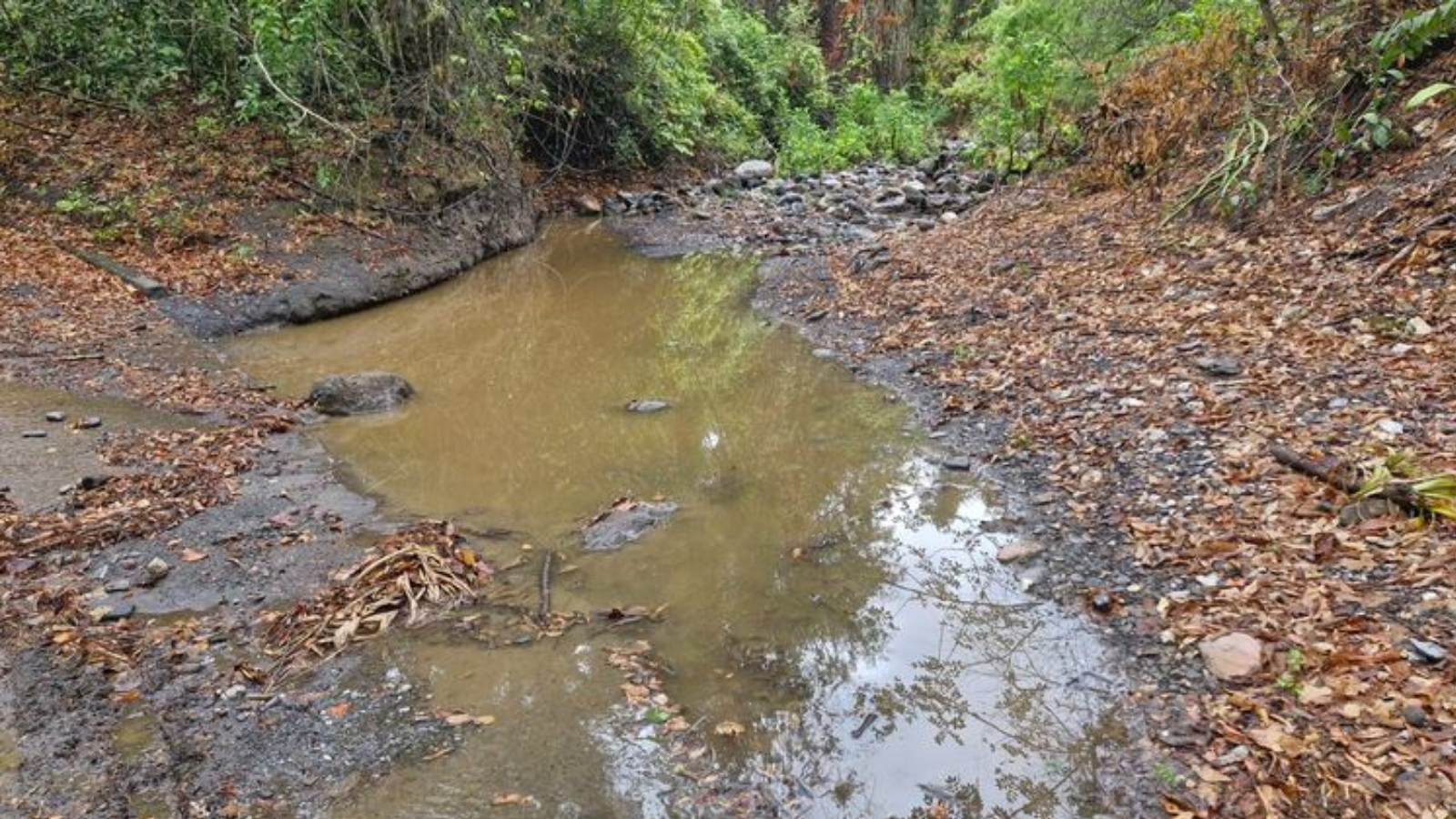 CAR revisará concesiones de agua