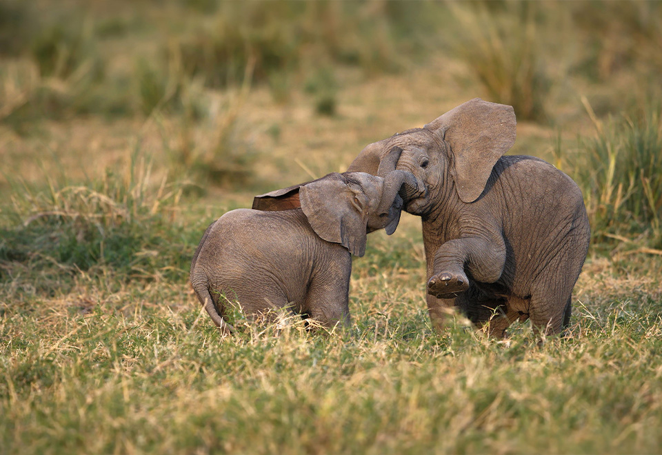 [Video] La ternura de la infancia
