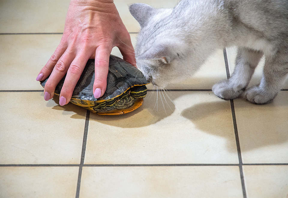 Una interacción poco habitual