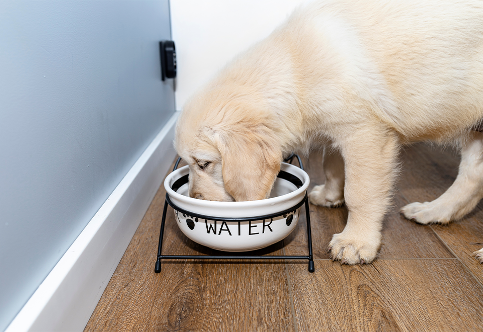 [Video] Educando a los pequeños