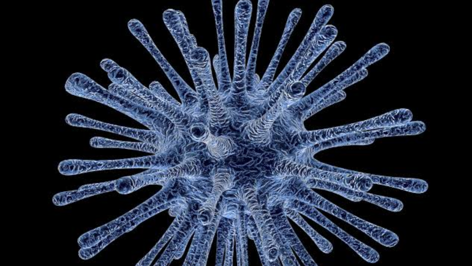 Investigan posible fuga de virus mortal en Rusia
