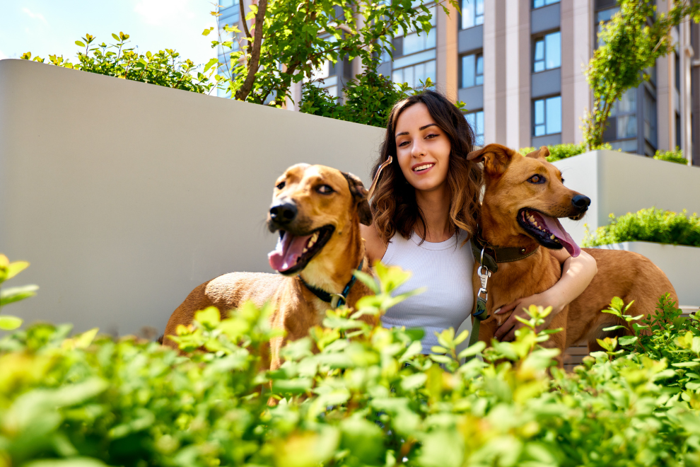 Corte prohíbe a conjuntos residenciales impedir el paso de mascotas por zonas comunes