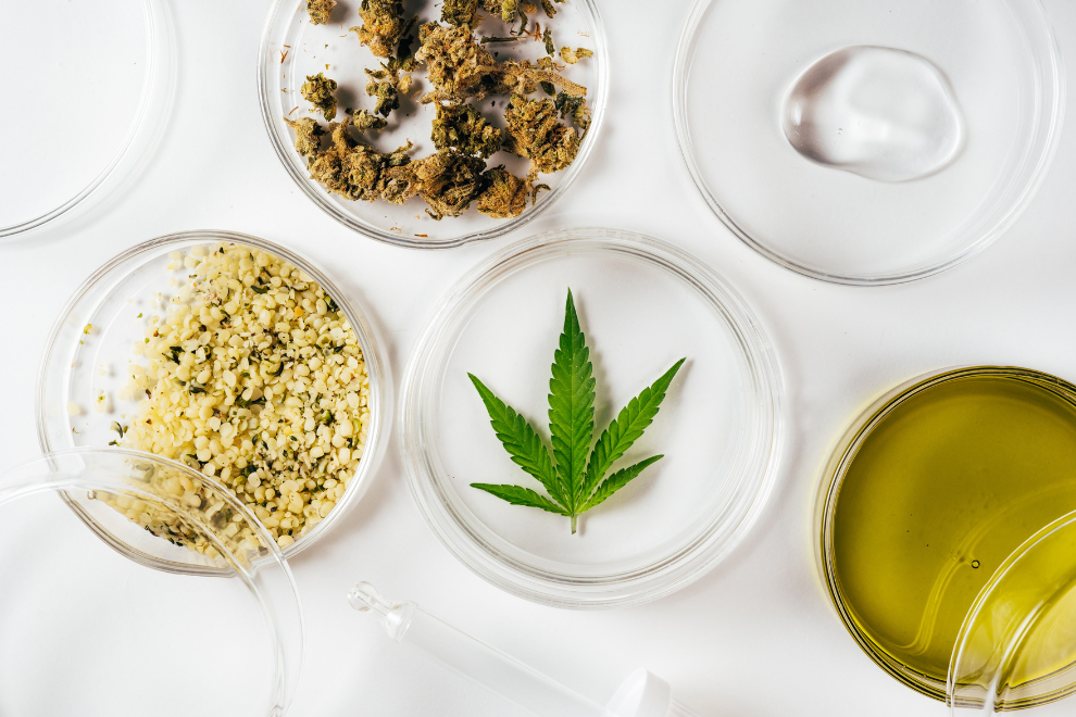 Por decreto, el Gobierno Nacional autorizó la venta de cannabis medicinal en Colombia