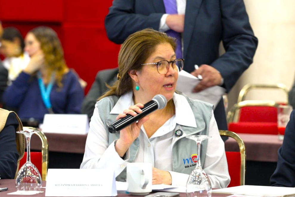 MOE lanza advertencia al Gobierno por participación en campaña presidencial