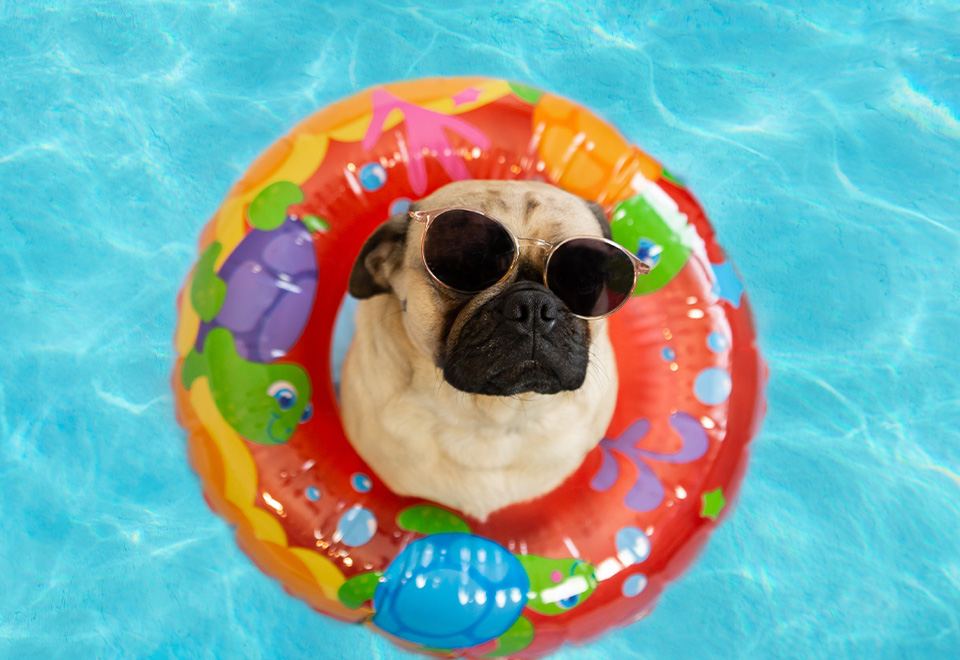 Es viernes y el cuerpo lo sabe