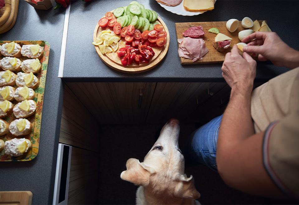 [Video] Nada más importante que la comida