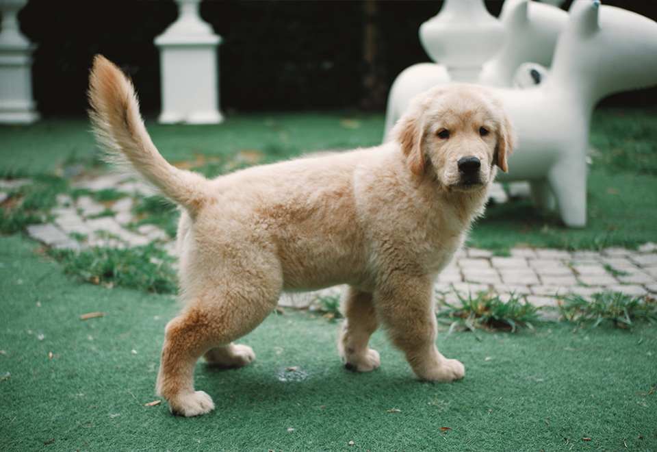 Hay que celebrar todo