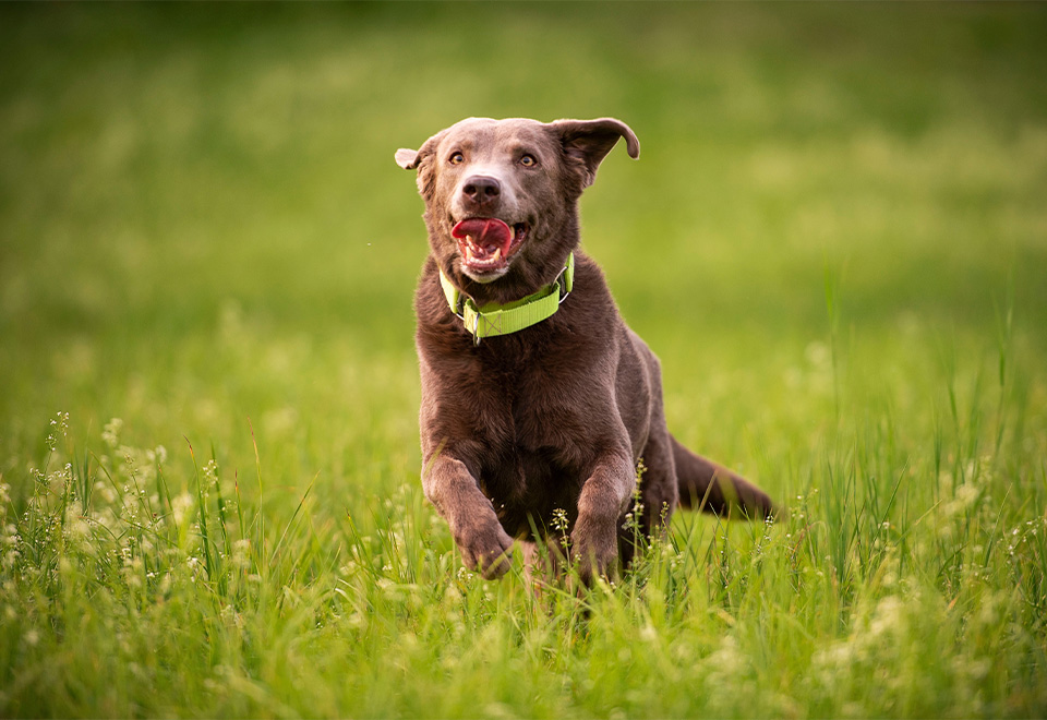 [Video] Para ser feliz no hay excusas