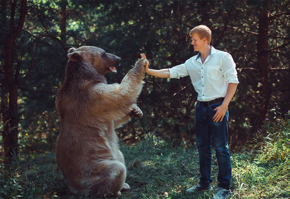 Extraordinario encuentro entre un hombre y un oso