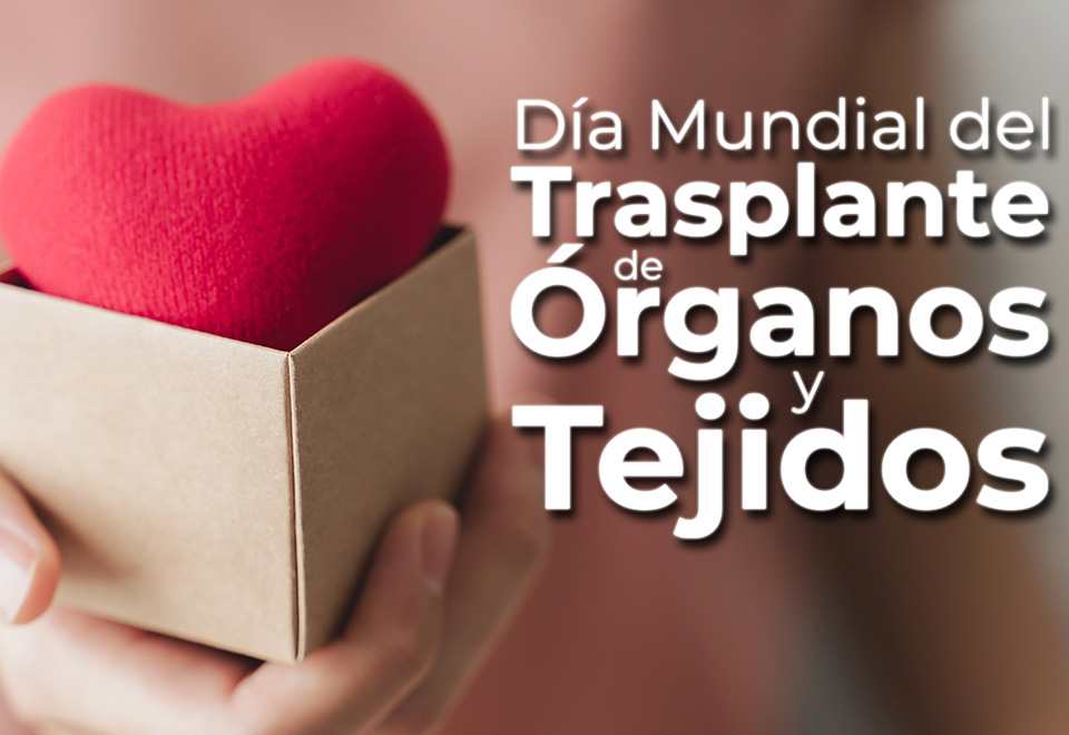 [Video] Rompiendo mitos: La verdad sobre los trasplantes