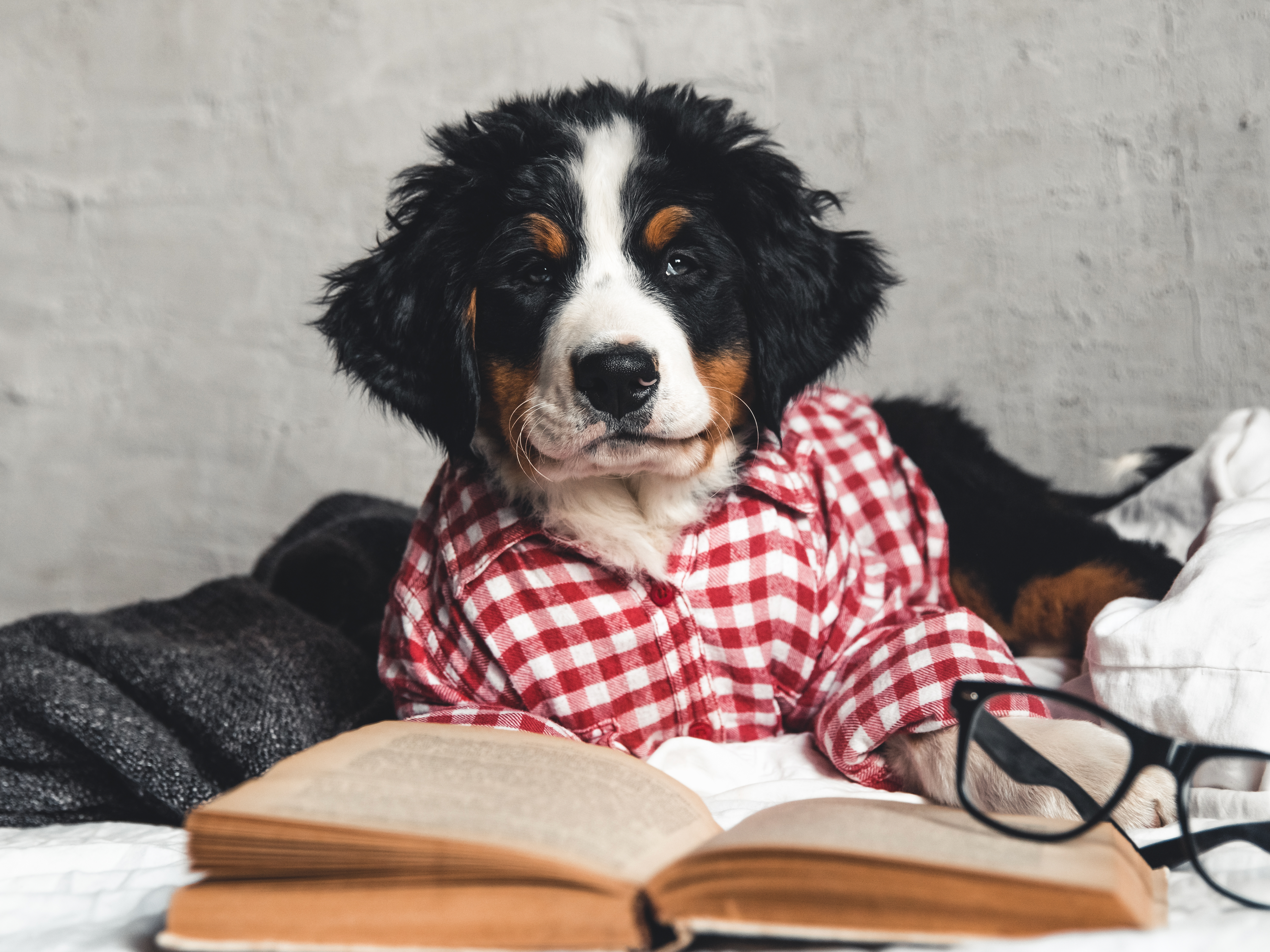 ¡Mire esta actuación!