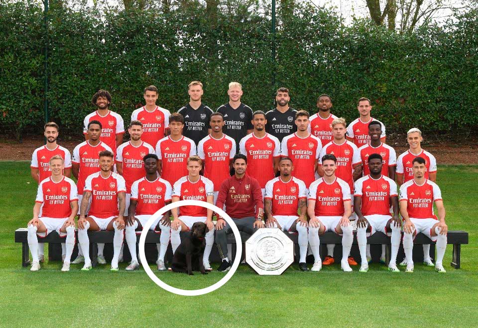 Entrenador adoptó perro para reducir el estrés de sus jugadores