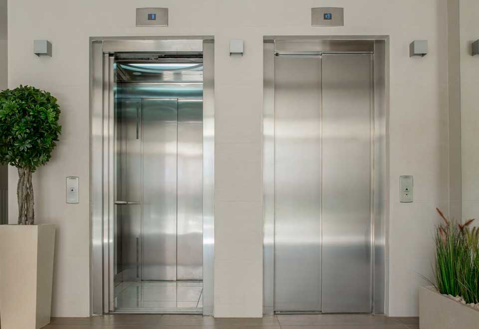 [Video] El amor entre una pareja y un perro