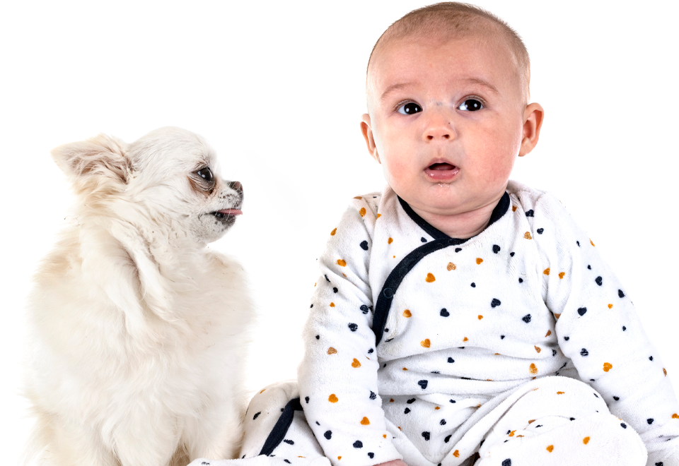 [Video] La mejor compañía del mundo