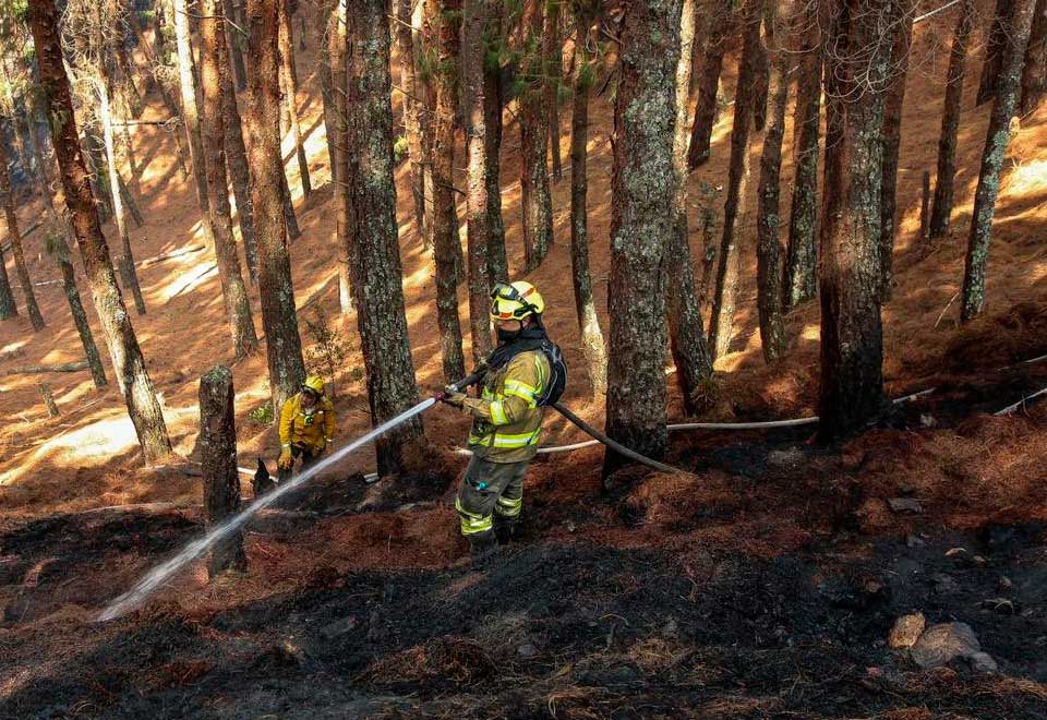Esta es la forma en cómo puede ayudar en los incendios