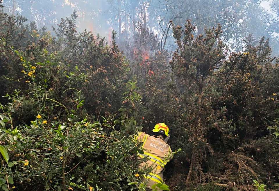 Bomberos atendieron incendio en Bogotá ¿Qué pasó?