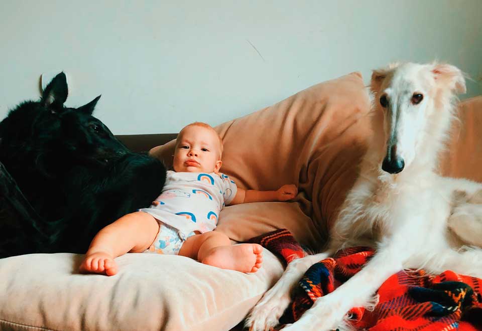 [Video] Este perro duerme con un recién nacido