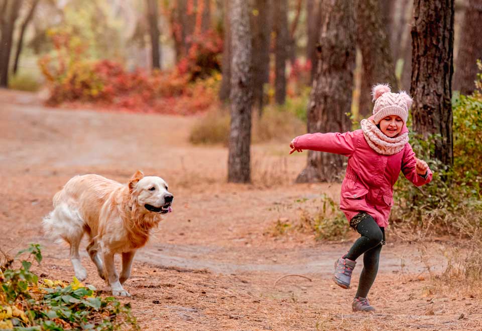 Una forma muy curiosa de jugar de este perro con unos niños