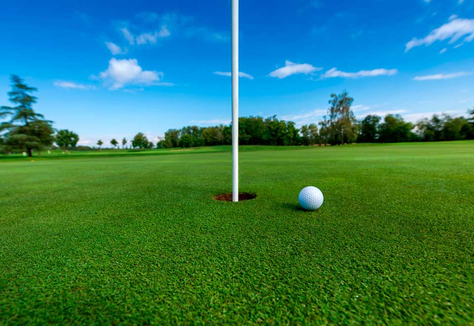 [Video] Este gato no deja jugar gol