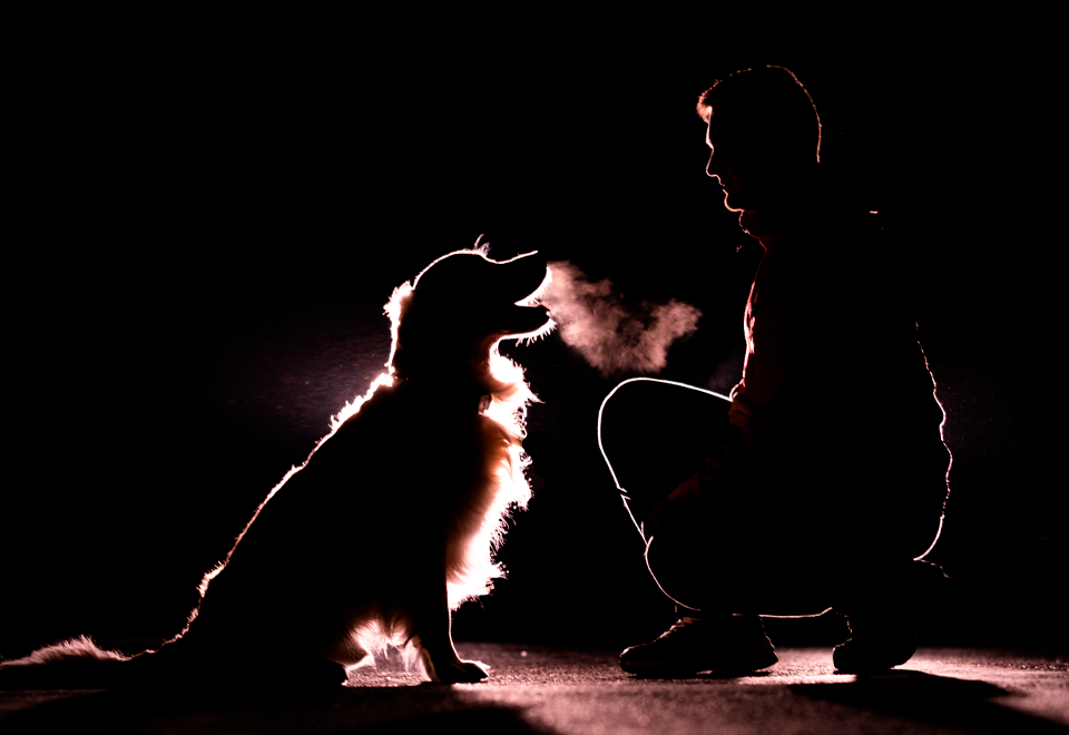 Mecánico intenta trabajar, pero su perro no lo deja