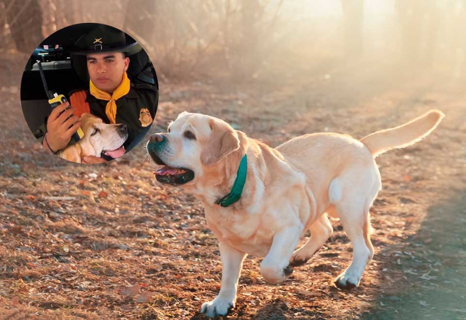 Así finalizó el servicio de ‘Kiara’ animal de uso policial