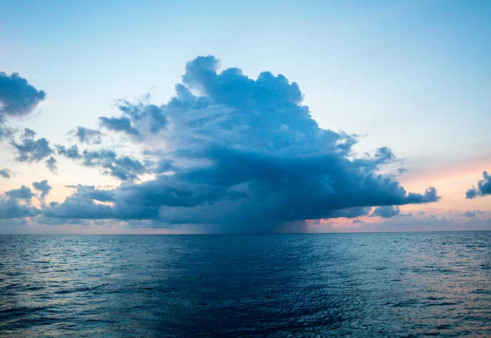 [Video] La imagen viral del mar