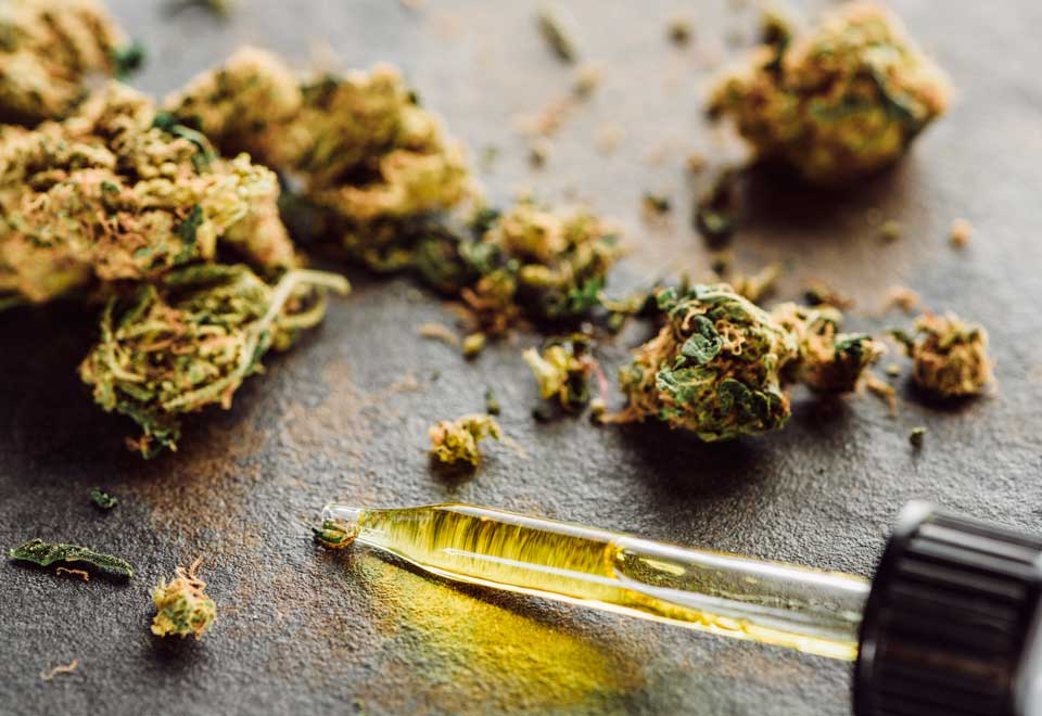 Una vez más Colombia le dice no a la regulación de uso de cannabis de uso recreativo