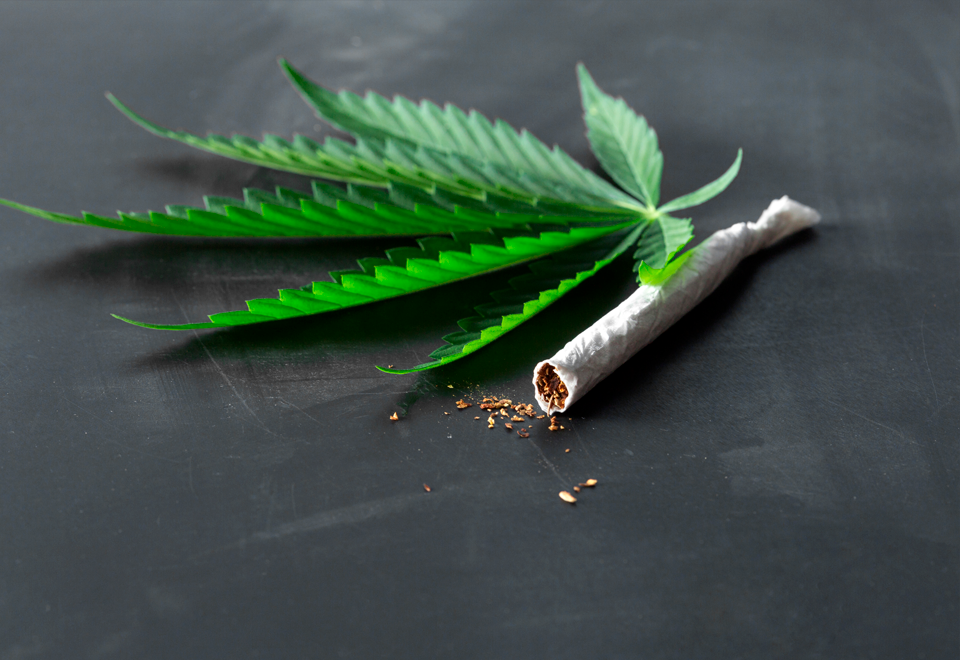 Países que legalizaron la Marihuana