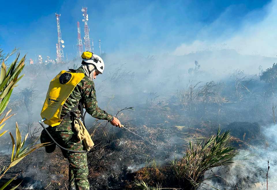 ¿Qué significa que el gobierno declare desastre nacional por incendios forestales en Colombia?