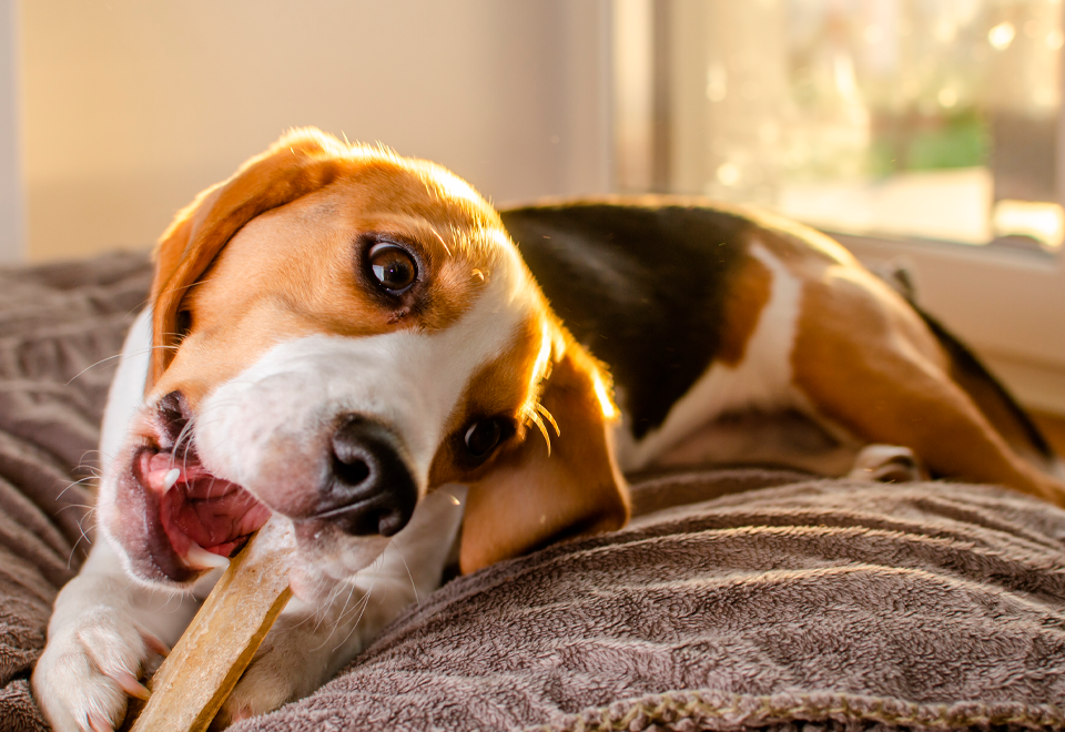 Una forma muy curiosa de no dejar trabajar.