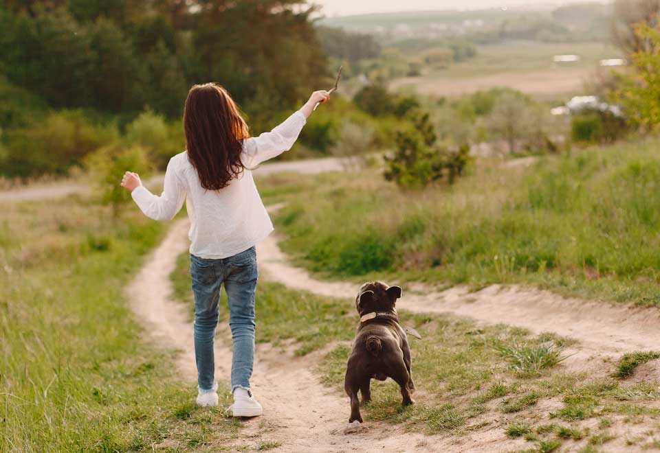[Video] Un atardecer muy perruno