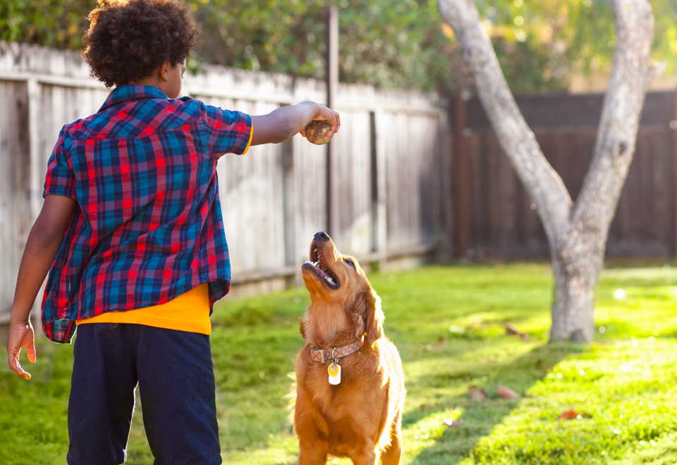 [Video] Este si es un problema muy grave de familia