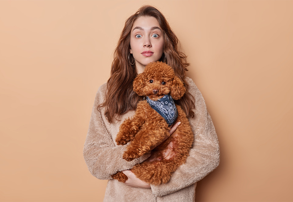 [Video] Pequeño perro asusta a su dueña