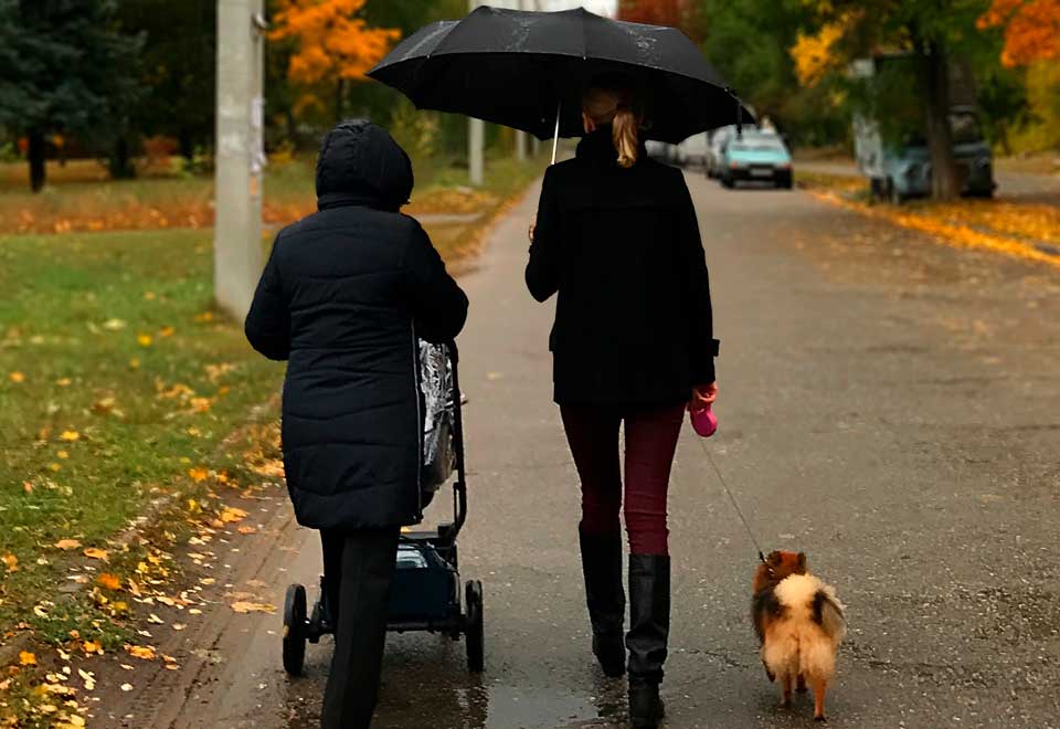 [Video] Dueños no dejaron mojar a sus perros