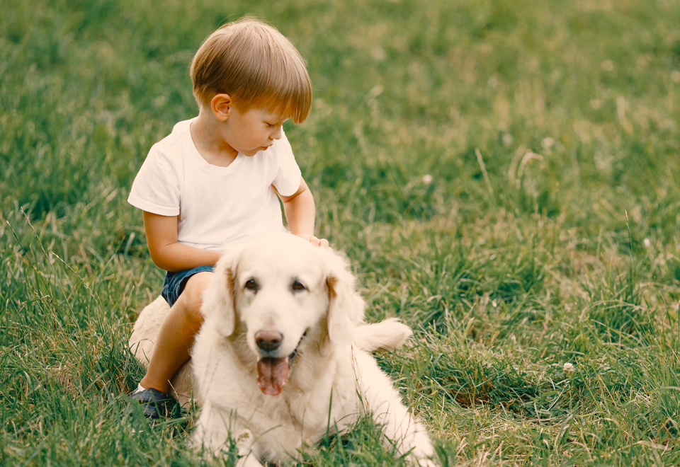 [Video] ¡Niño y perro crecieron juntos!
