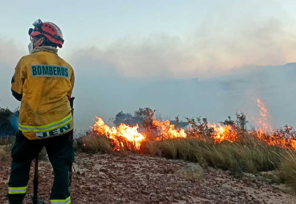 [Video] Lo positivo de los incendios en Bogotá