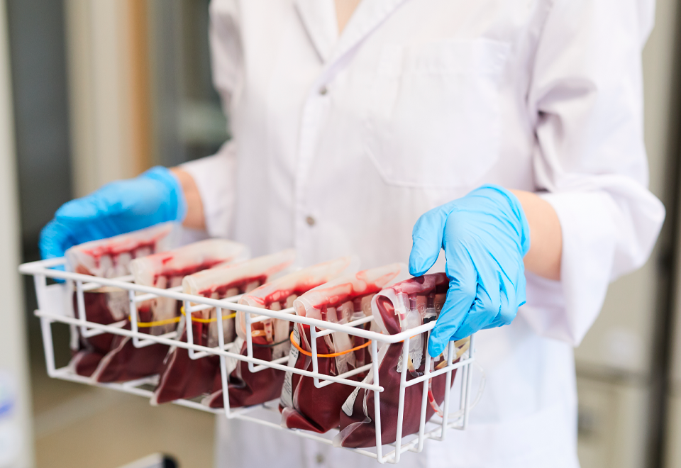 ¿Cuál es el tipo de sangre más común en el mundo?