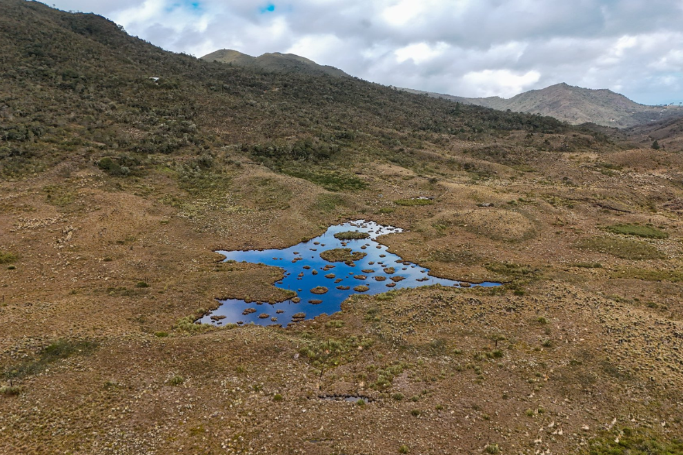 Cundinamarca tendrá el primer jardín botánico especializado en especies de alta montaña andina