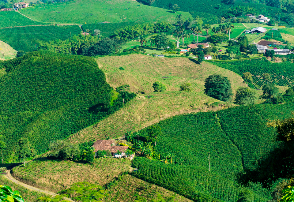 ¿Por qué ha temblado tanto en Colombia?