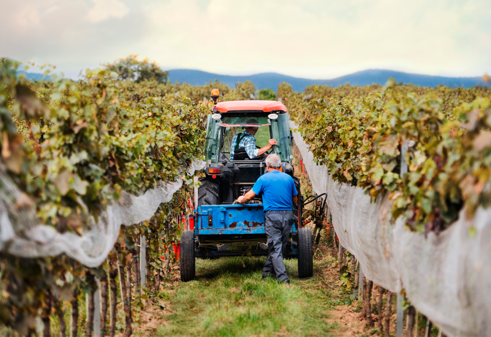 ¿Lo qué no sabe de la conmemoración del día del trabajo?
